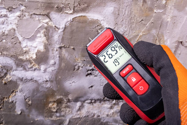 Best Post-Remediation Services in Fords, NJ