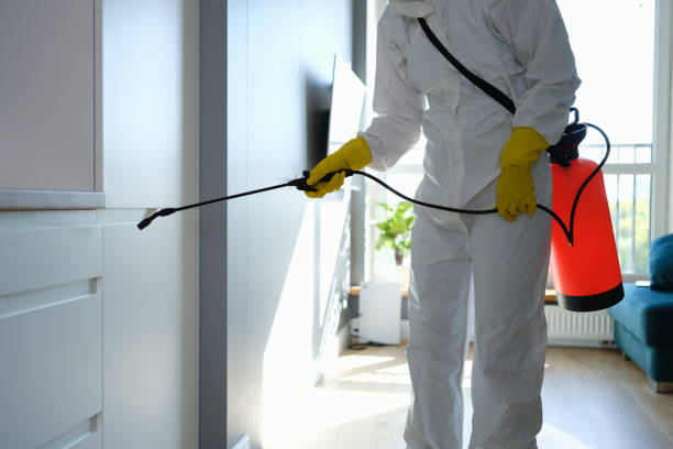 Best Mold Remediation for Schools in Fords, NJ