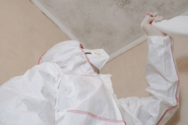  Fords, NJ Mold Removal Pros