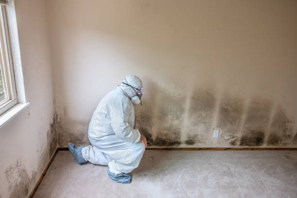 Best Post-Flood Mold Remediation in Fords, NJ